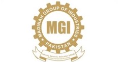 mgi